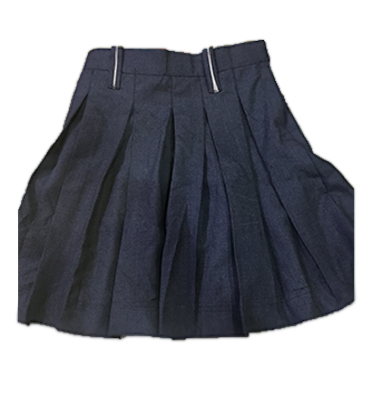 PTC Uniforms - The Aaryan Global School, Rohtak